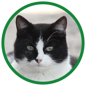 調べてみました！